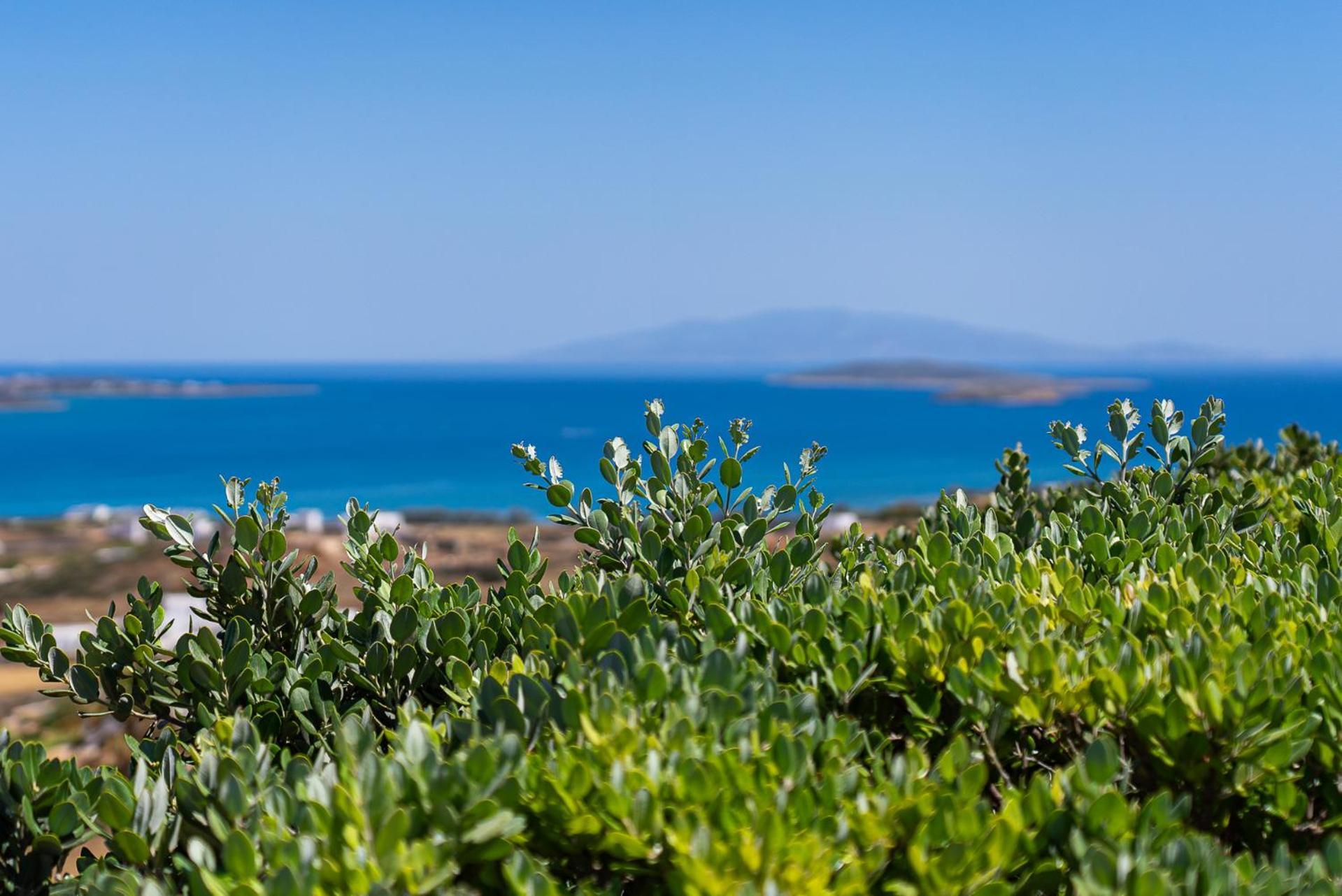 Lagadia Village Andíparos Chambre photo